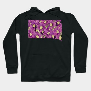 South Dakota in Flowers Hoodie